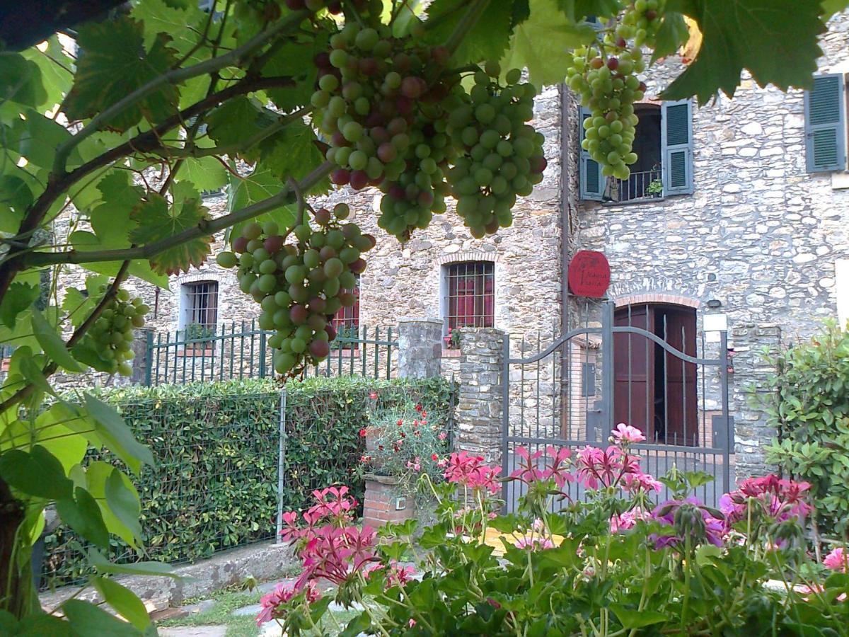 Agriturismo A Veggia Vigna Garlenda Exterior photo